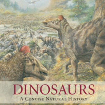 Dinosaurs:A Concise Natural History ebook